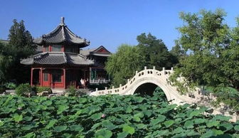 快来河北 给你百万补贴 高薪 房子