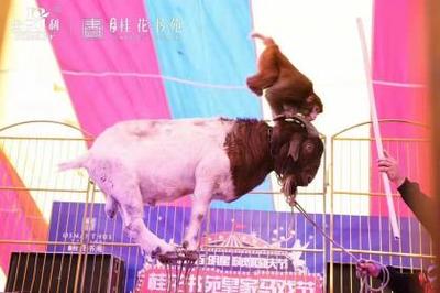 产品信息